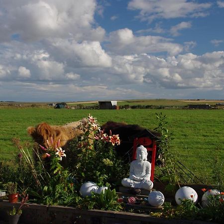 Carrig Lios Bed & Breakfast Терсо Екстериор снимка